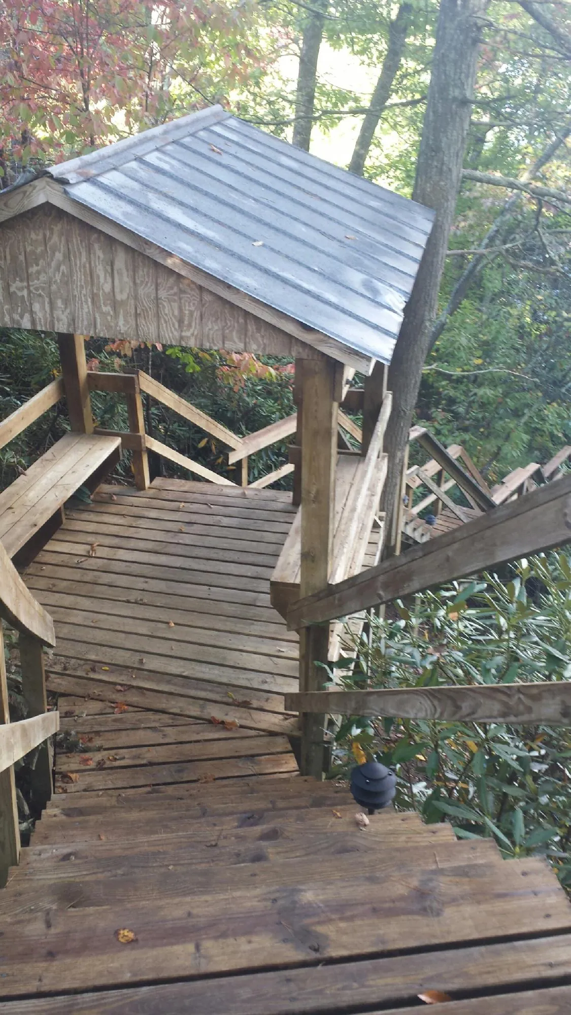 Metal roofed shelter over wooden steps on a wooded walkway — Skylight Repair & Installation work by our crew in Wenatchee