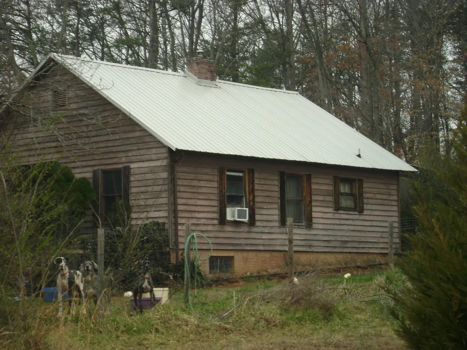 White metal roof on an old wood sided farmhouse, from a Metal Roof Installation job in Wenatchee